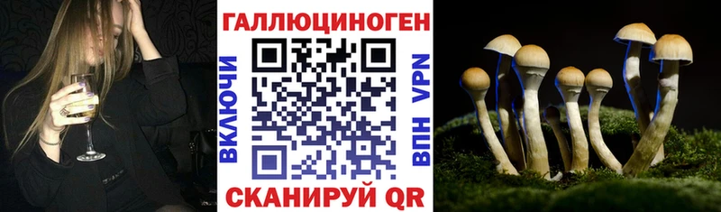 Галлюциногенные грибы ЛСД  Боготол 